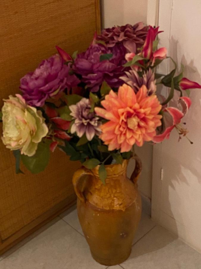B&B Paradiso San Vincenzo 莫尔费塔 外观 照片